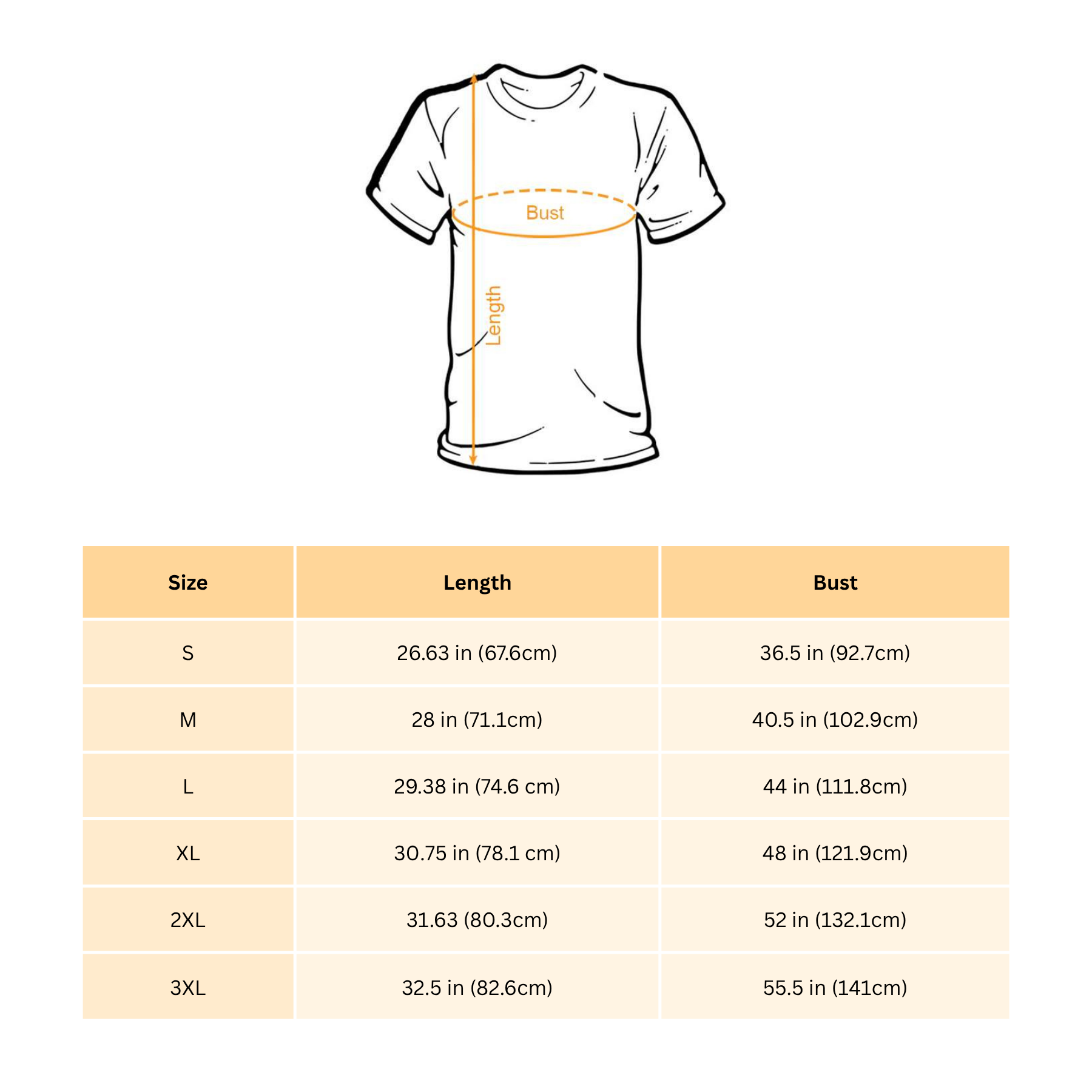 "Bieberchella" T-Shirt – Vintage Style Concert Fan Tee